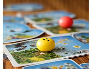 Flügelschlag (Wingspan) Spiel mit Vogelkarten und Eiern